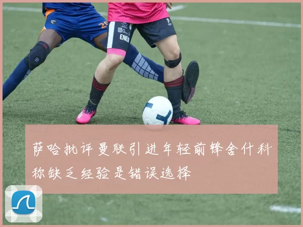 萨哈批评曼联引进年轻前锋舍什科称缺乏经验是错误选择