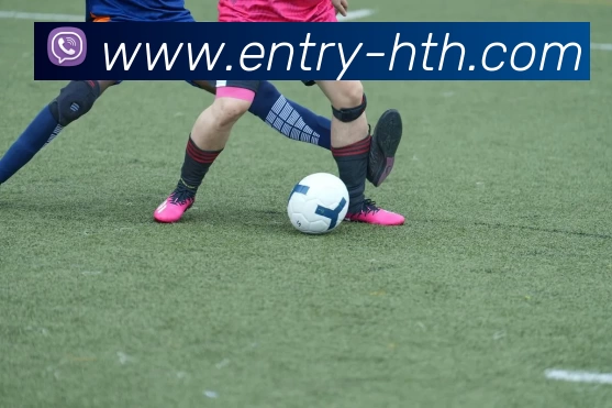 华体会平台生态图